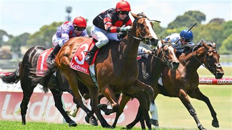 aussiebet|all australian bet.